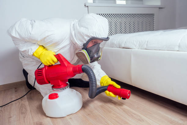 Best Affordable Pest Control Services  in Parkwood, CA