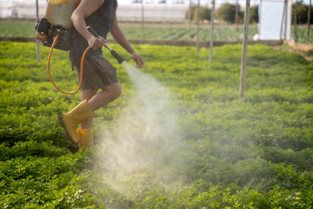 Best Best Pest Control Companies  in Parkwood, CA