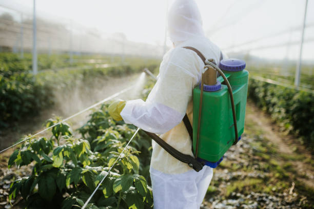 Wildlife Control Services in Parkwood, CA